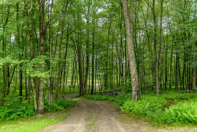 132 Wade Rd, Pomfret, CT 06259 - view of dirt / gravel road featuring a view of trees