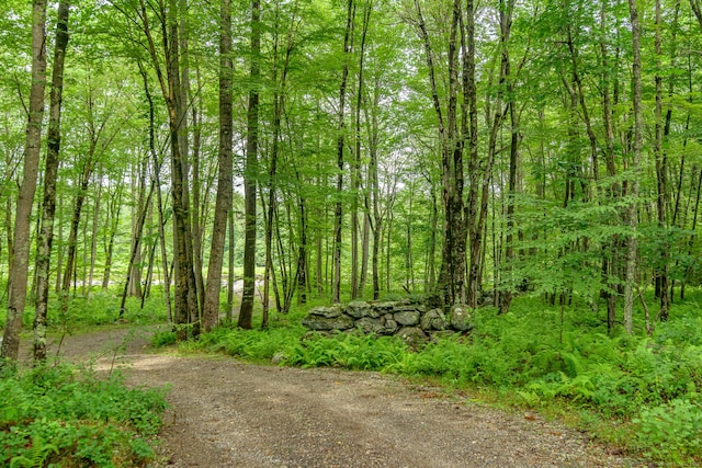 132 Wade Rd, Pomfret, CT 06259 - view of road featuring a view of trees