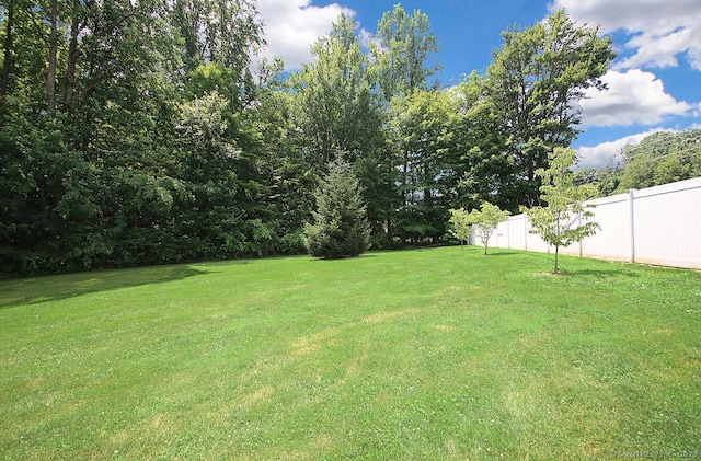 362 Main St, Meriden, CT 06451 - view of yard
