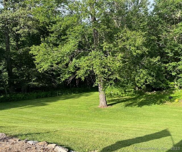 47 Merwin Brook Rd, Brookfield, CT 06804 - view of grassy yard