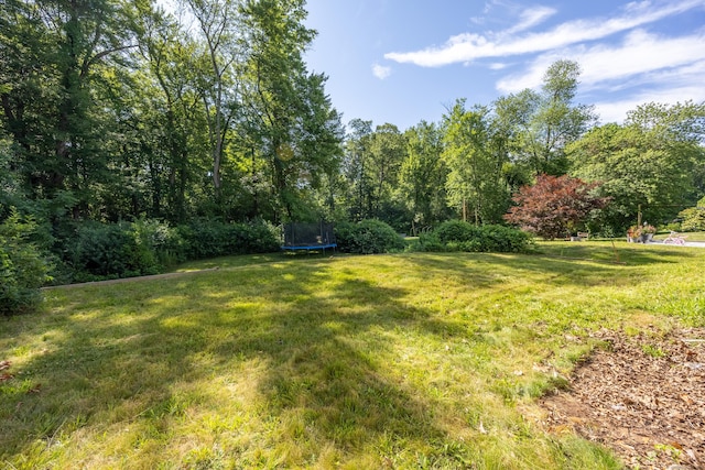 206 Mohegan Dr, West Hartford, CT 06117 - photo 28