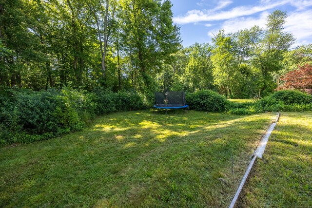 206 Mohegan Dr, West Hartford, CT 06117 - photo 29