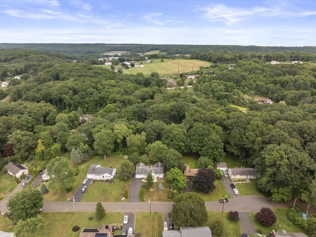 7 NE Dr, East Haven, CT 06473 - photo 38