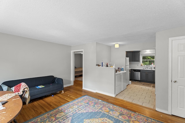 212 Sheffield Ave, New Haven, CT 06511 - living area featuring light wood-style floors and a textured ceiling