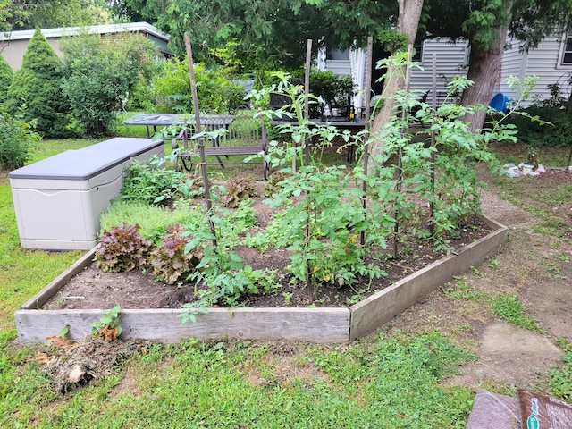 50 Tracy Ave, Waterbury, CT 06706 - view of yard with a vegetable garden