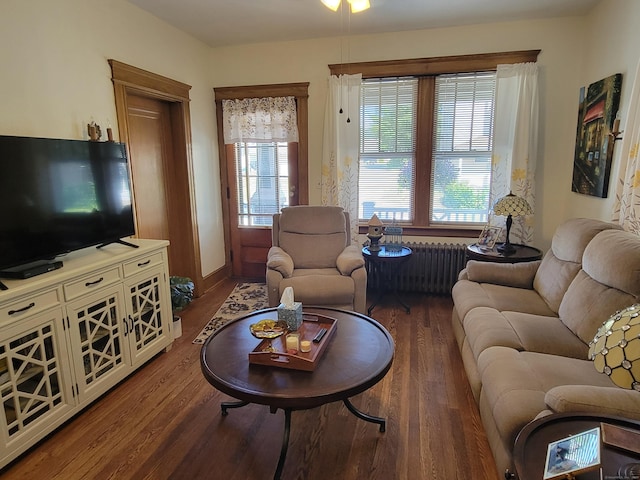 50 Tracy Ave, Waterbury, CT 06706 - living room with wood finished floors, plenty of natural light, and radiator heating unit