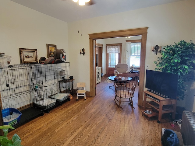 50 Tracy Ave, Waterbury, CT 06706 - living area with wood finished floors, ceiling fan, and radiator