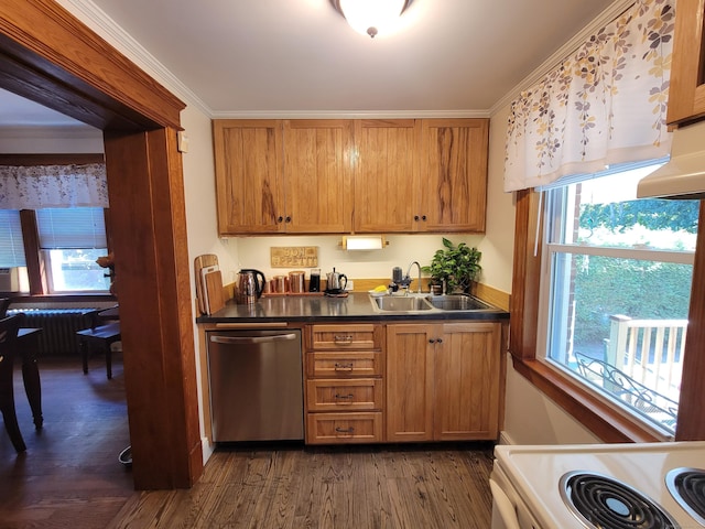 50 Tracy Ave, Waterbury, CT 06706 - kitchen with stainless steel dishwasher, brown cabinetry, dark countertops, dark wood-style flooring, and crown molding