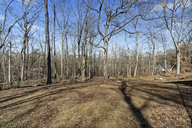 4 Coachman Pike, Ledyard, CT 06339 - photo 3