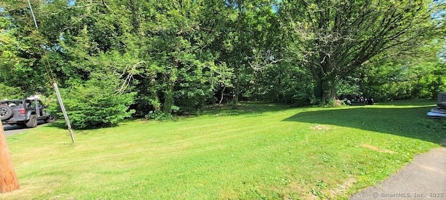 46 Waller Ave, Wolcott, CT 06716 - photo 27