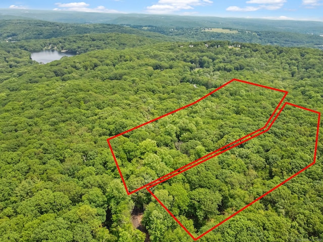 ParcelA Old Moose Hill Road, Oxford, CT 06478 - photo 1