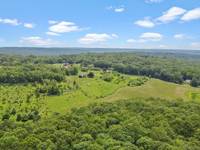 ParcelA Old Moose Hill Road, Oxford, CT 06478 - photo 13