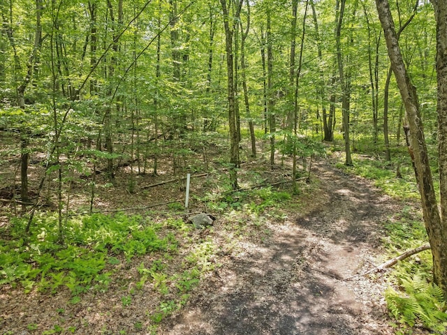 ParcelA Old Moose Hill Road, Oxford, CT 06478 - photo 5