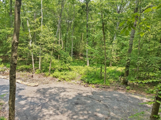 ParcelA Old Moose Hill Road, Oxford, CT 06478 - photo 6