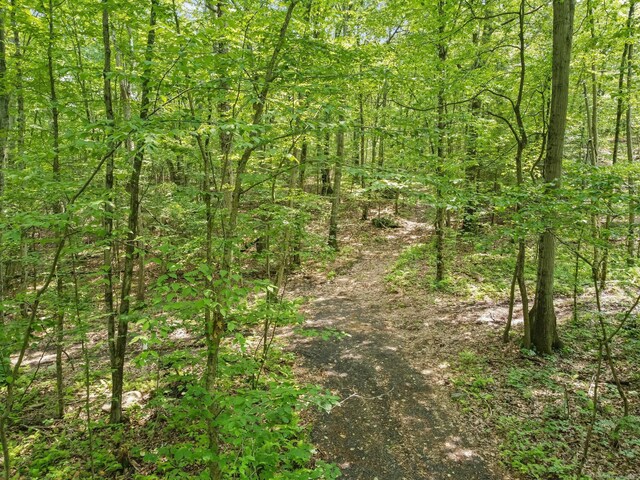 ParcelA Old Moose Hill Road, Oxford, CT 06478 - photo 11