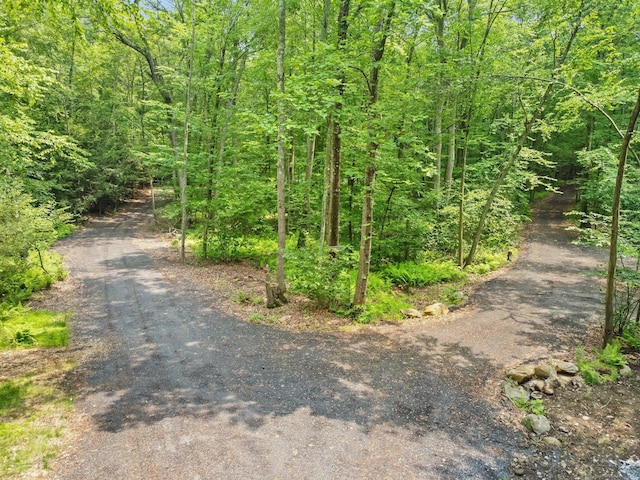 ParcelA Old Moose Hill Road, Oxford, CT 06478 - photo 3