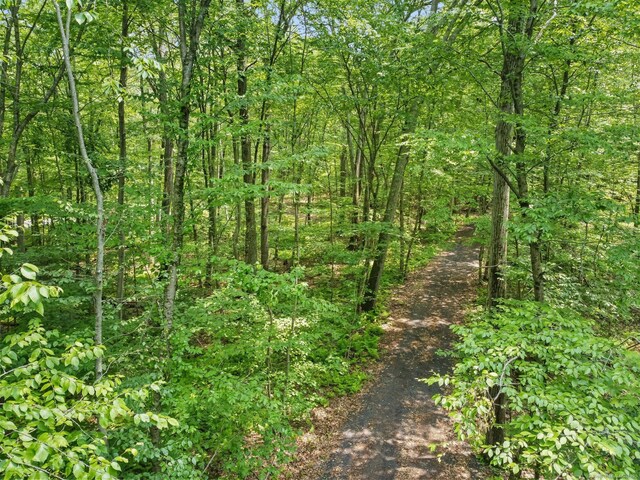 ParcelA Old Moose Hill Road, Oxford, CT 06478 - photo 12