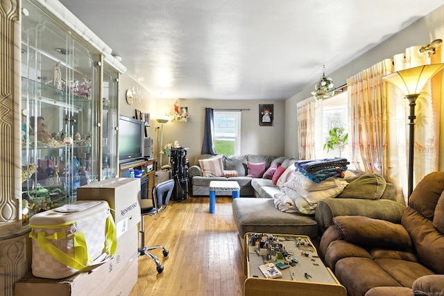 6 Topstone Dr, Danbury, CT 06810 - living room with light wood-style flooring
