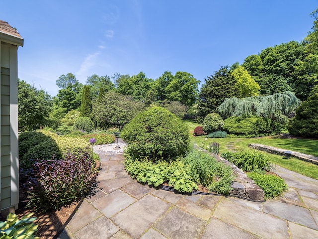 51 Powderhorn Dr, Ridgefield, CT 06877 - view of patio