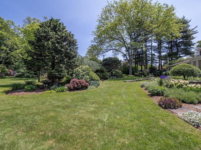 51 Powderhorn Dr, Ridgefield, CT 06877 - view of grassy yard