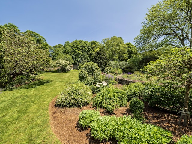 51 Powderhorn Dr, Ridgefield, CT 06877 - view of grassy yard