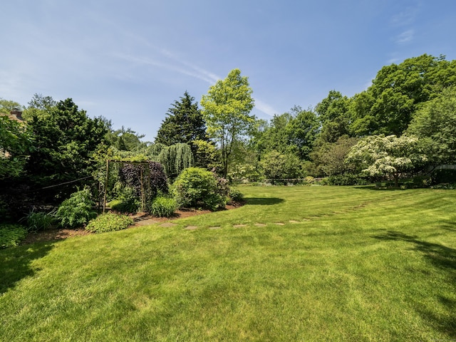 51 Powderhorn Dr, Ridgefield, CT 06877 - view of grassy yard