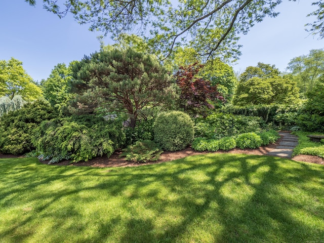 51 Powderhorn Dr, Ridgefield, CT 06877 - view of green lawn