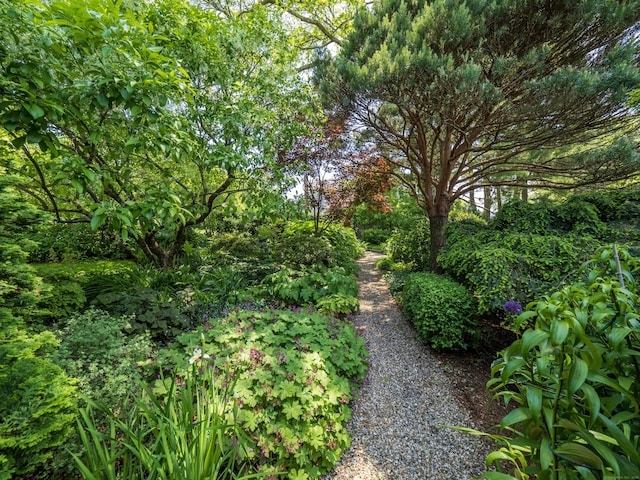 51 Powderhorn Dr, Ridgefield, CT 06877 - view of yard