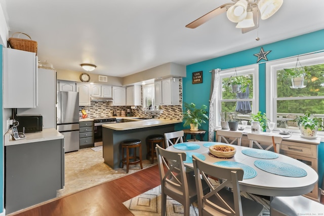 7 Pheasant Run Rd Unit 1, Kent, CT 06757 - kitchen featuring appliances with stainless steel finishes, a peninsula, backsplash, a ceiling fan, and light wood-style flooring