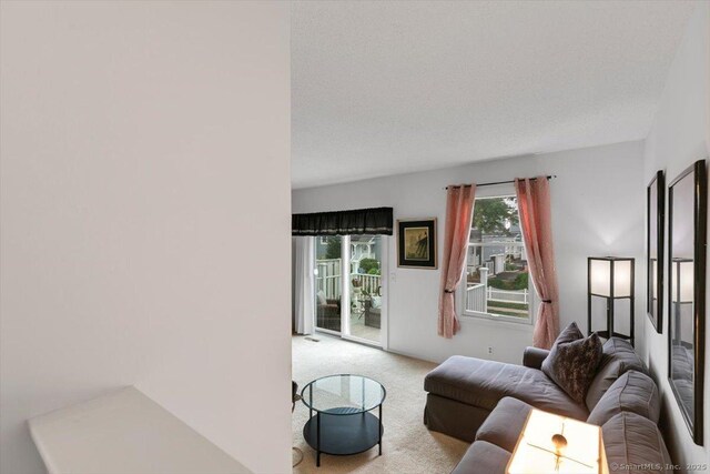 93 Cosey Beach Ave Apt 5, East Haven, CT 06512 - view of carpeted living area