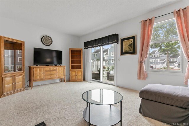 93 Cosey Beach Ave Apt 5, East Haven, CT 06512 - living room with healthy amount of natural light and carpet flooring