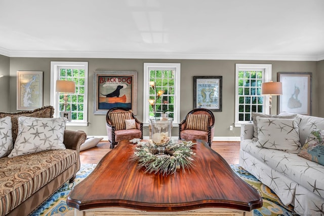 14 Ely Ln, Killingworth, CT 06419 - living area featuring wood finished floors and crown molding