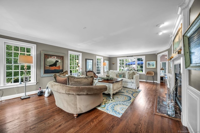 14 Ely Ln, Killingworth, CT 06419 - living room with a high end fireplace, dark wood-style floors, ornamental molding, and a baseboard heating unit