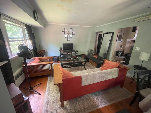 19 Upper Butcher Rd, Ellington, CT 06029 - living room with wood finished floors, ornamental molding, and radiator heating unit