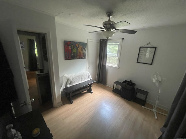19 Upper Butcher Rd, Ellington, CT 06029 - bedroom with light wood-style floors, a ceiling fan, a textured ceiling, and ornamental molding