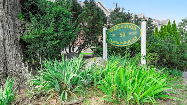 50 Stuart Ave Unit B1, Norwalk, CT 06850 - photo 10
