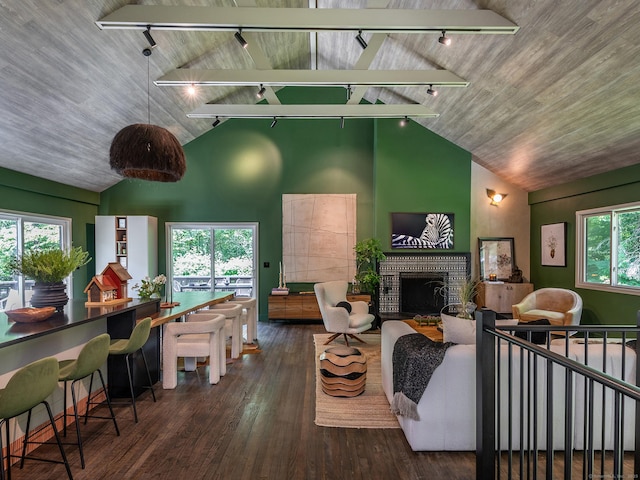 40 Revere Rd, Washington, CT 06793 - living room featuring rail lighting, wood finished floors, a fireplace, high vaulted ceiling, and wood ceiling