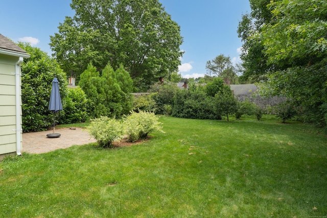 45 Graves Ave, Guilford, CT 06437 - view of green lawn