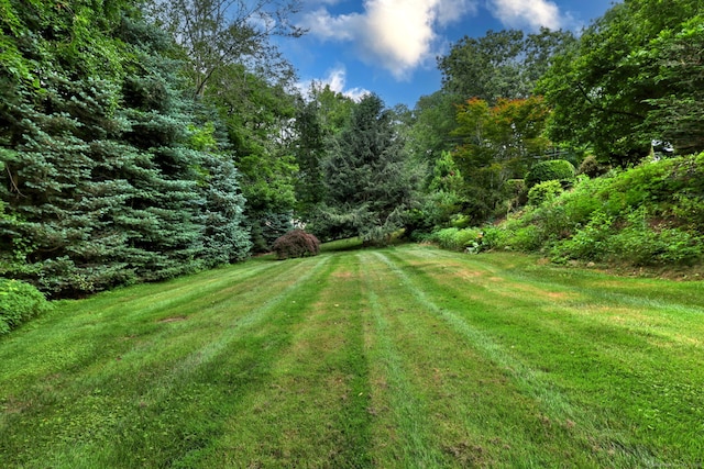 35 Wilson Dr, Oxford, CT 06478 - photo 9