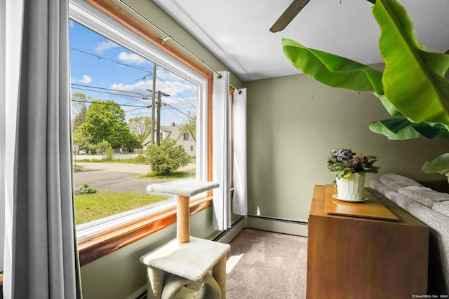 53 Cleveland St, Putnam, CT 06260 - doorway to outside featuring carpet floors and ceiling fan