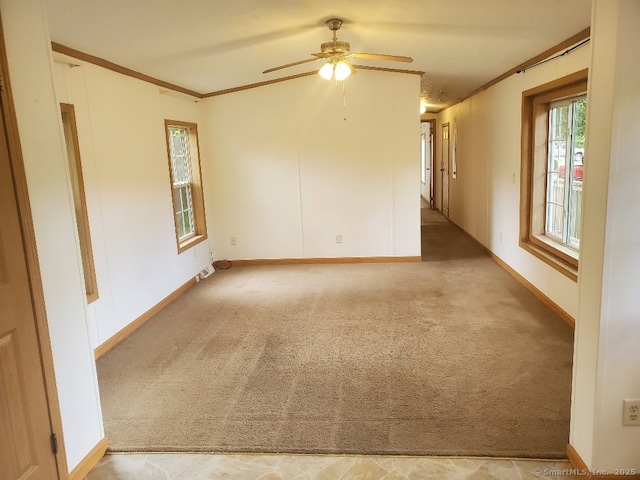 252 Old Canterbury Tpke Lot 19, Norwich, CT 06360 - empty room with ornamental molding, a ceiling fan, and carpet floors