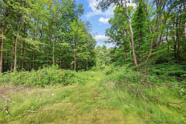 38 Cedar Ln, New Hartford, CT 06057 - photo 4
