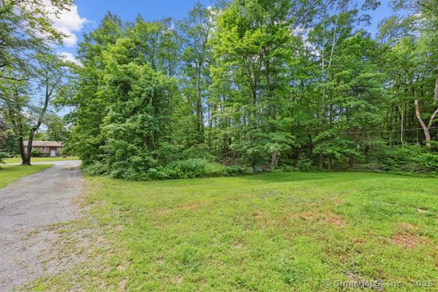 38 Cedar Ln, New Hartford, CT 06057 - photo 23