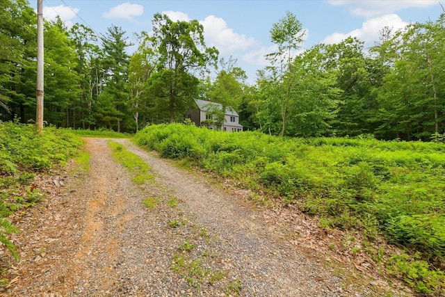 853 Pole Bridge Rd, Woodstock, CT 06281 - view of road featuring a wooded view