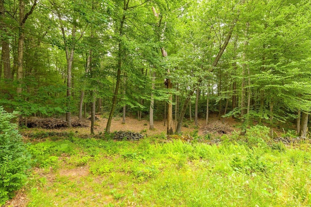 853 Pole Bridge Rd, Woodstock, CT 06281 - view of woods