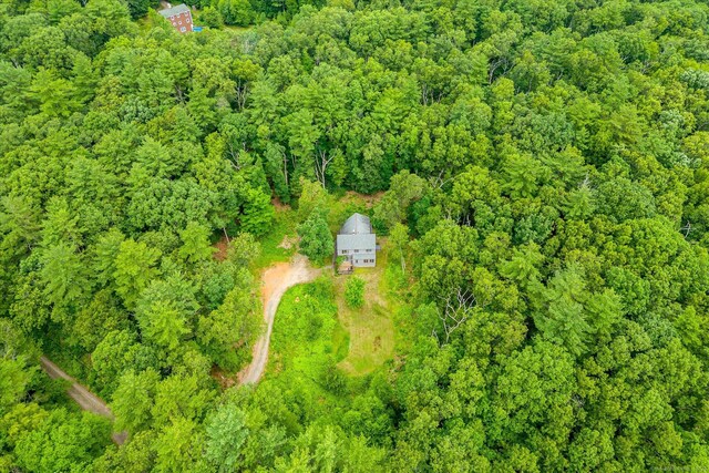 853 Pole Bridge Rd, Woodstock, CT 06281 - aerial view of a forest
