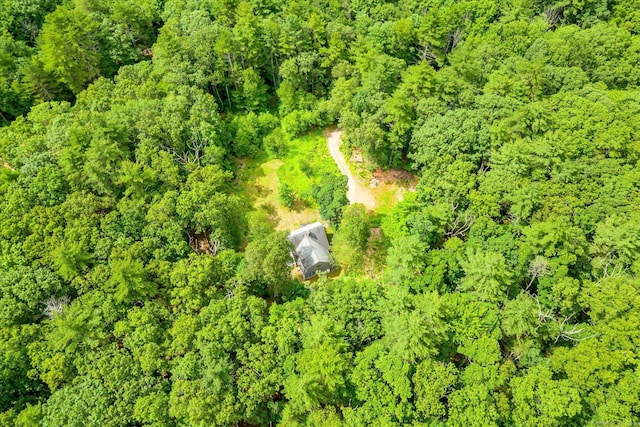 853 Pole Bridge Rd, Woodstock, CT 06281 - aerial view of a heavily wooded area