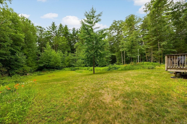 853 Pole Bridge Rd, Woodstock, CT 06281 - view of yard featuring a deck and a forest view
