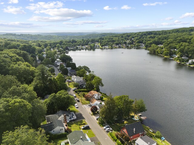 265 Lake Plymouth Blvd, Plymouth, CT 06782 - photo 4