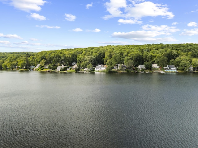 265 Lake Plymouth Blvd, Plymouth, CT 06782 - photo 35